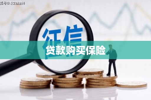 莺歌贷款购买保险