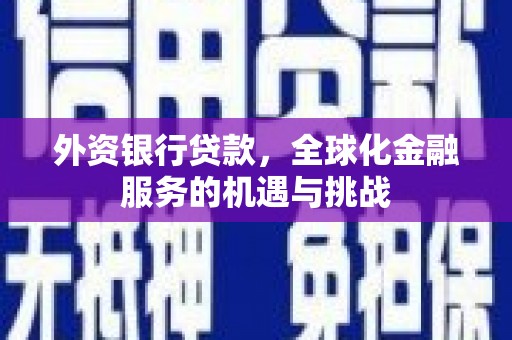 鹿泉外资银行贷款，全球化金融服务的机遇与挑战
