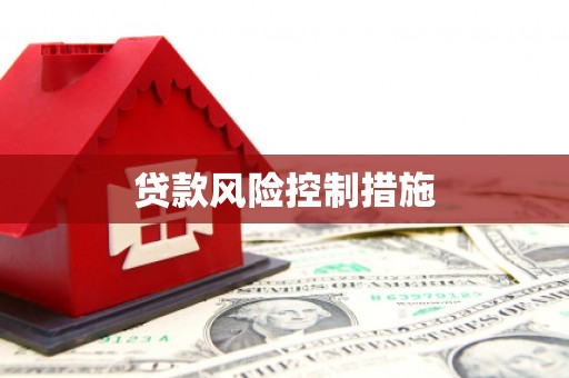 惠济贷款风险控制措施
