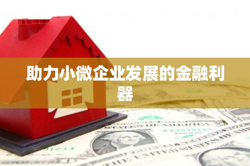盐田助力小微企业发展的金融利器