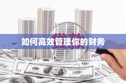 崖州如何高效管理你的财务