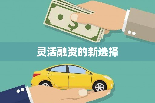 南阳灵活融资的新选择