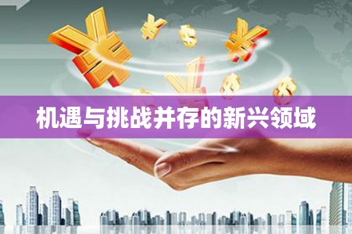 龙崎机遇与挑战并存的新兴领域