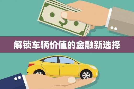 港南解锁车辆价值的金融新选择