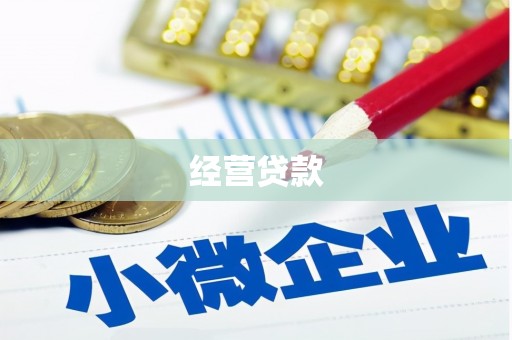 东乡族经营贷款