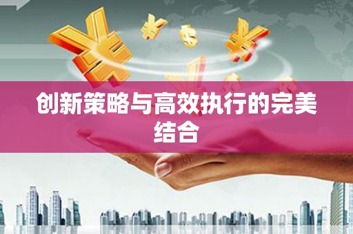 蔡甸创新策略与高效执行的完美结合