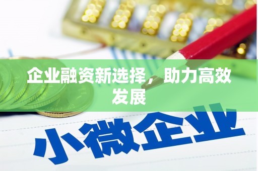 新乐企业融资新选择，助力高效发展