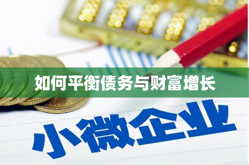 聂荣如何平衡债务与财富增长