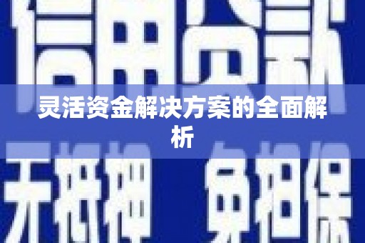 士林灵活资金解决方案的全面解析
